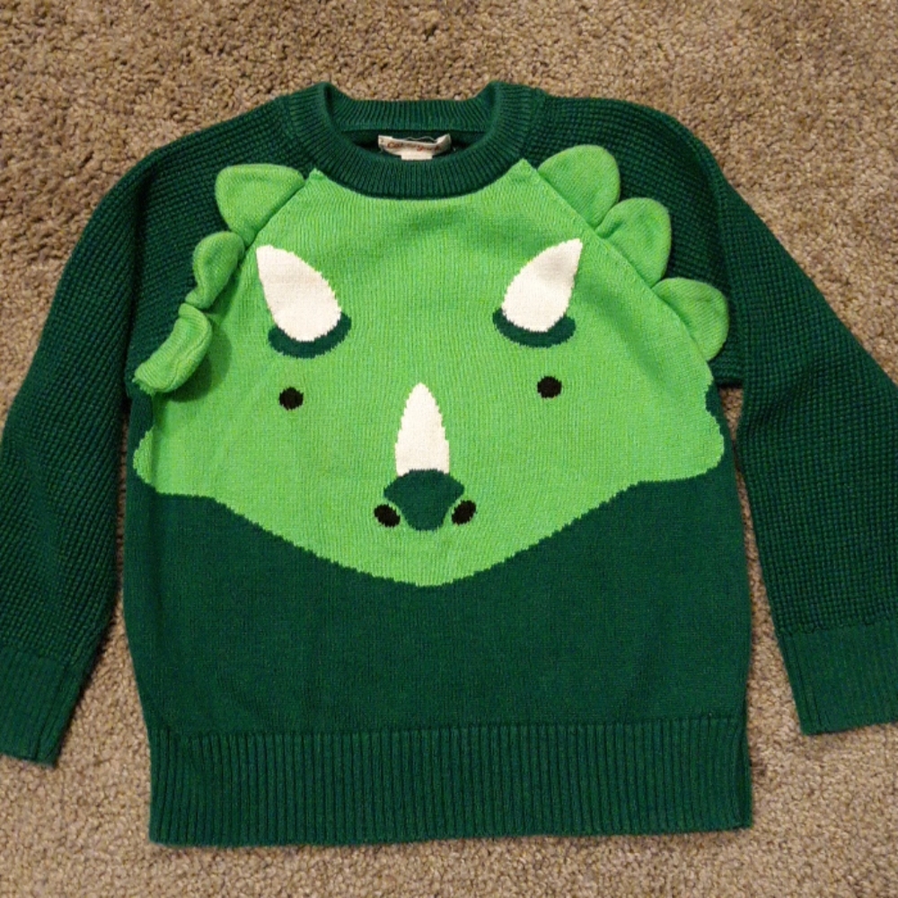 🦖 Dinosaur Triceratops Sweater